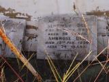 image of grave number 668722